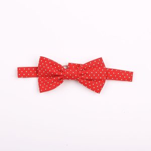 Corbatín Puntos Blancos