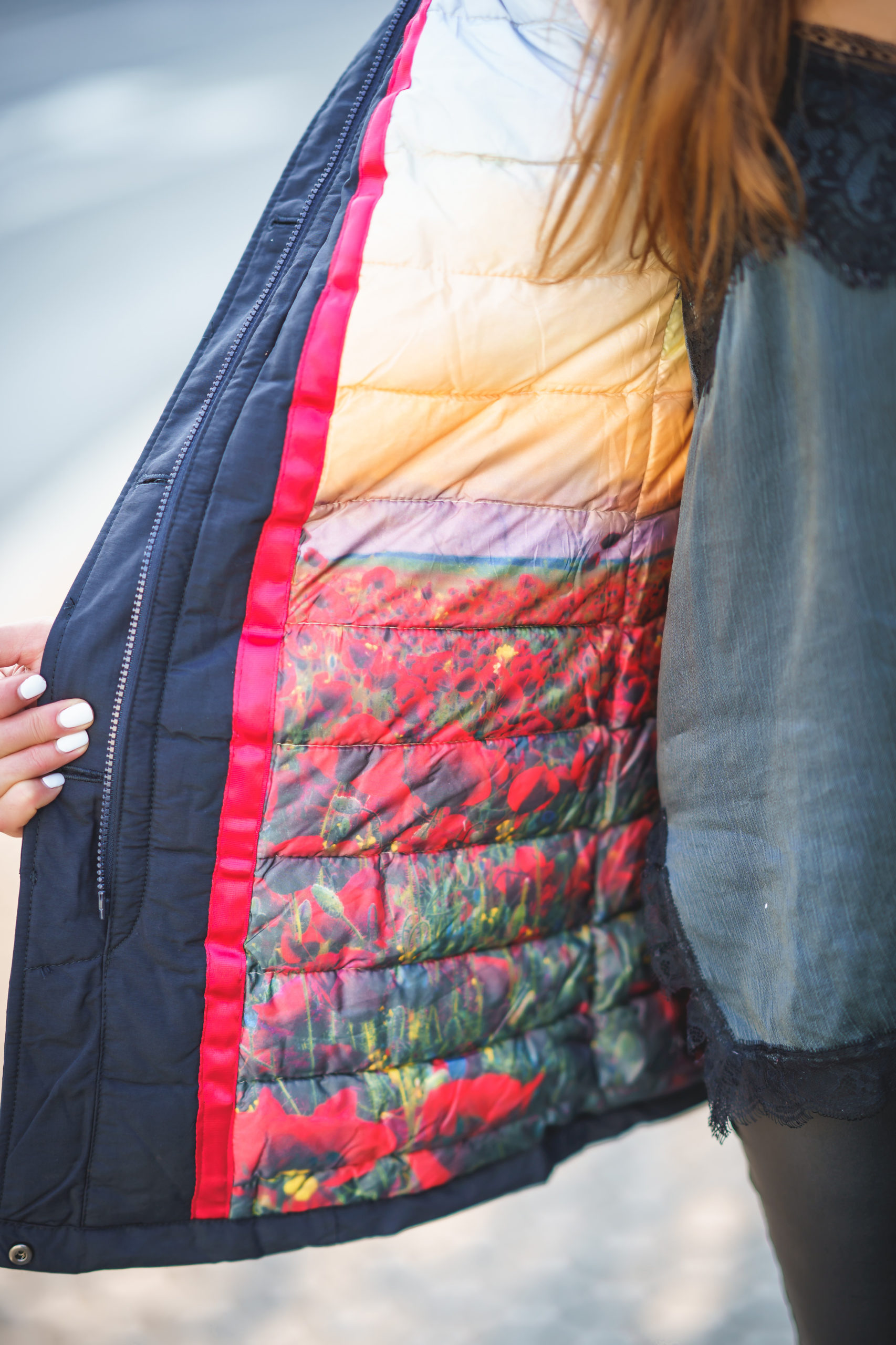 Plumífero Marino - Imagen 3